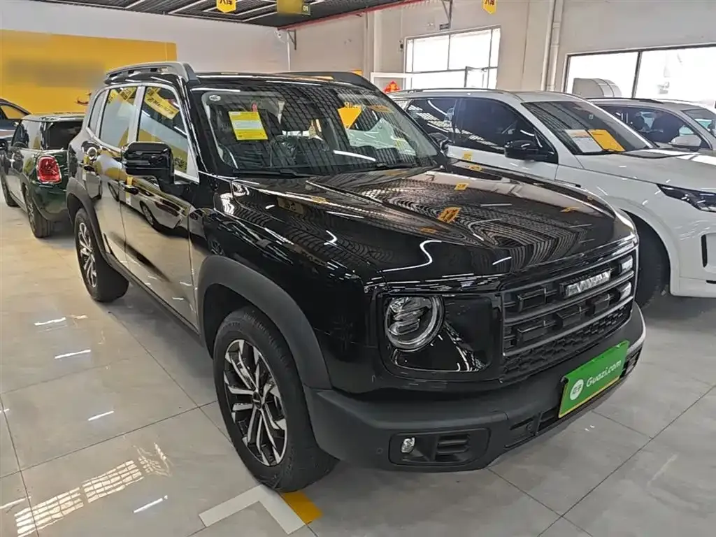 Haval Big Dog — фото 4
