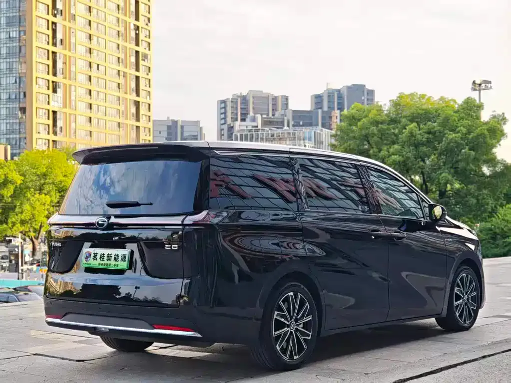 GAC Motor 传祺E8 PHEV 2024 из CN, фото 9
