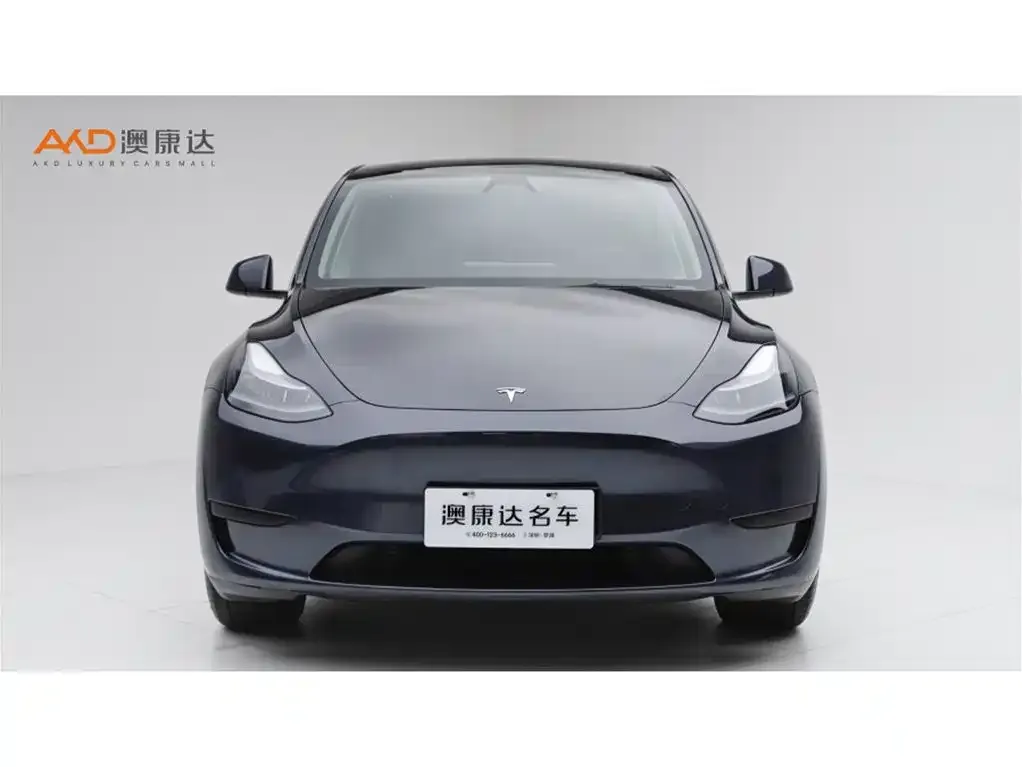 Tesla Model Y — фото 7