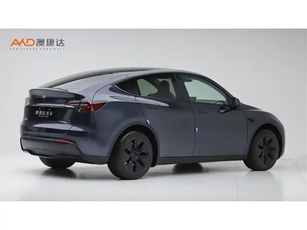 Tesla Model Y — фото 6