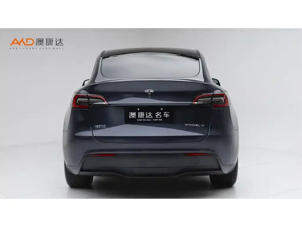 Tesla Model Y — фото 10