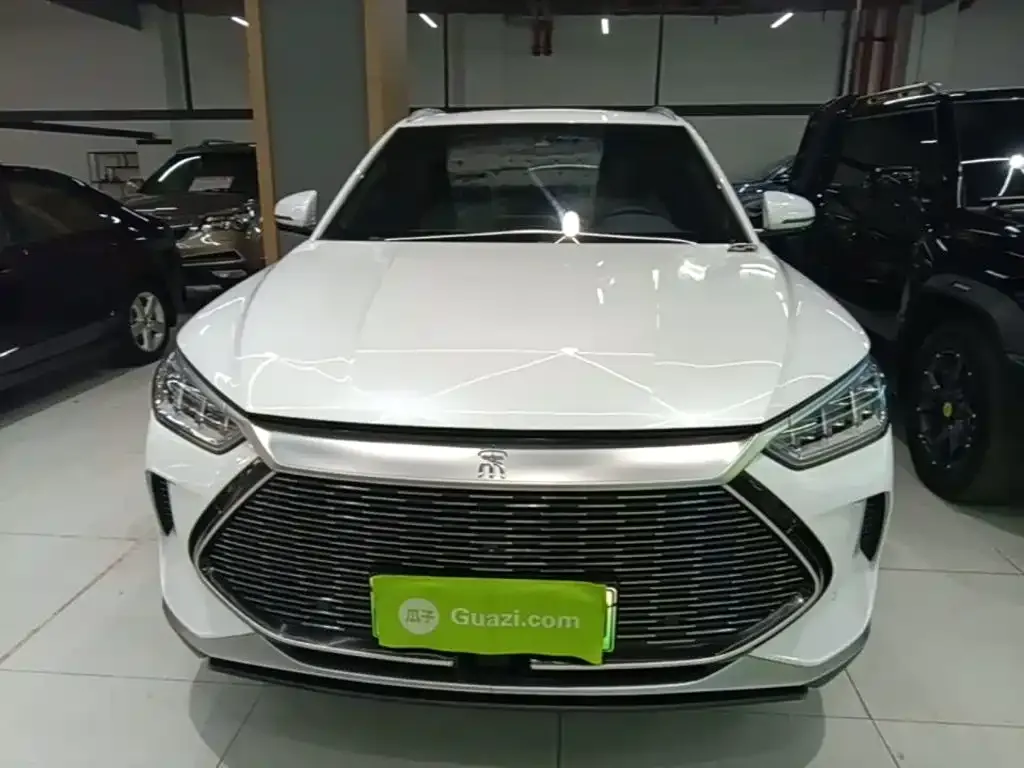 BYD PLUS New Energy — фото 4