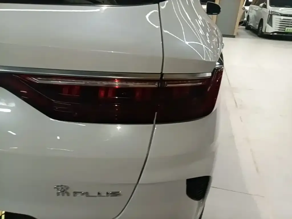 BYD PLUS New Energy — фото 10