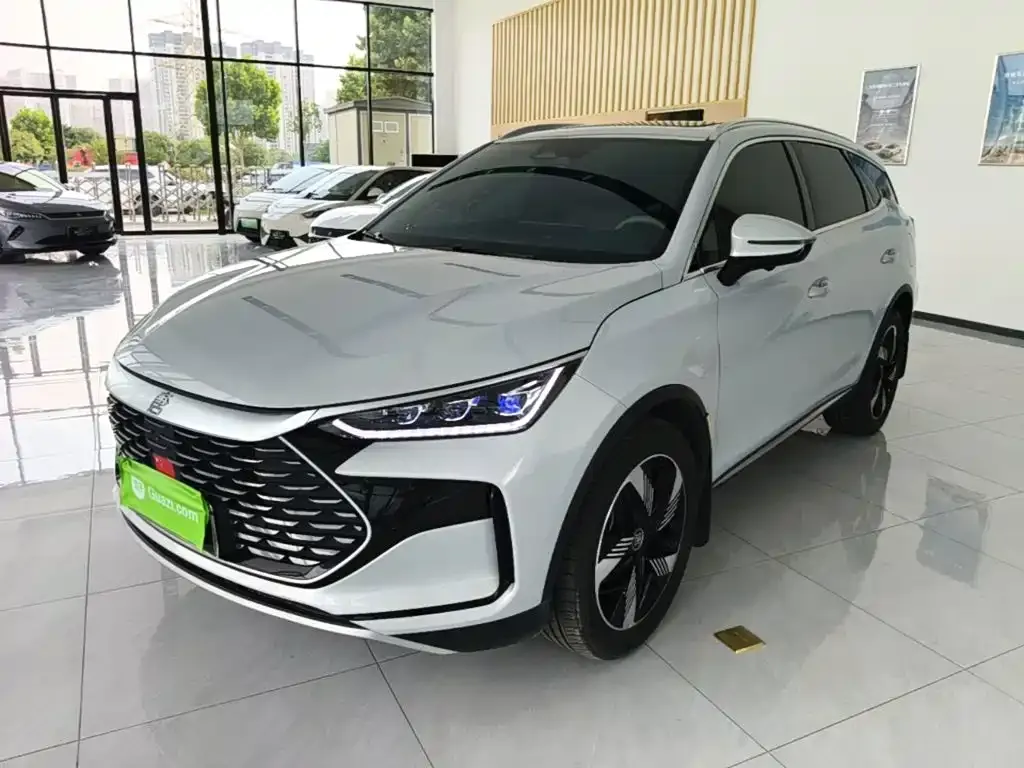 BYD Tang New Energy 2024 из CN, фото 9