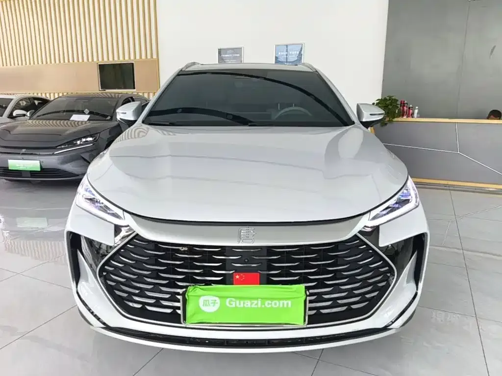 BYD Tang New Energy 2024 из CN, фото 6