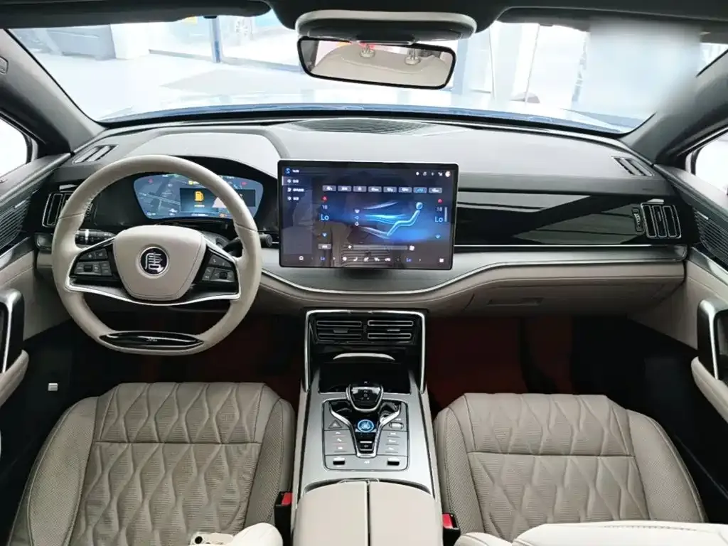 BYD Tang New Energy 2024 из CN, фото 5