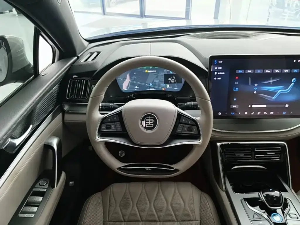 BYD Tang New Energy 2024 из CN, фото 4