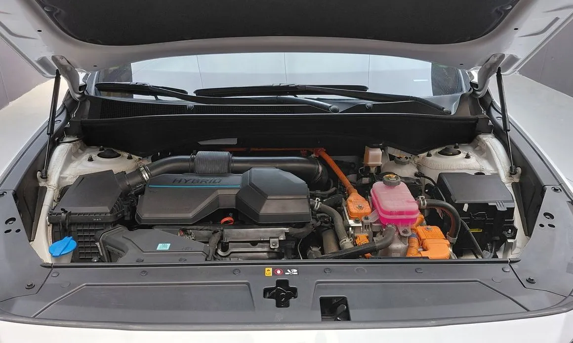 Hyundai Santafe 2023 из KR, фото 9