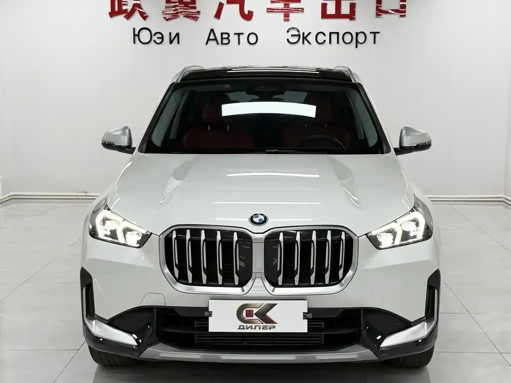 BMW X1 2023 из CN, фото 6