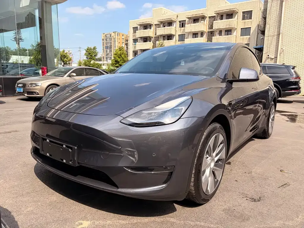 Tesla Model Y — фото 1