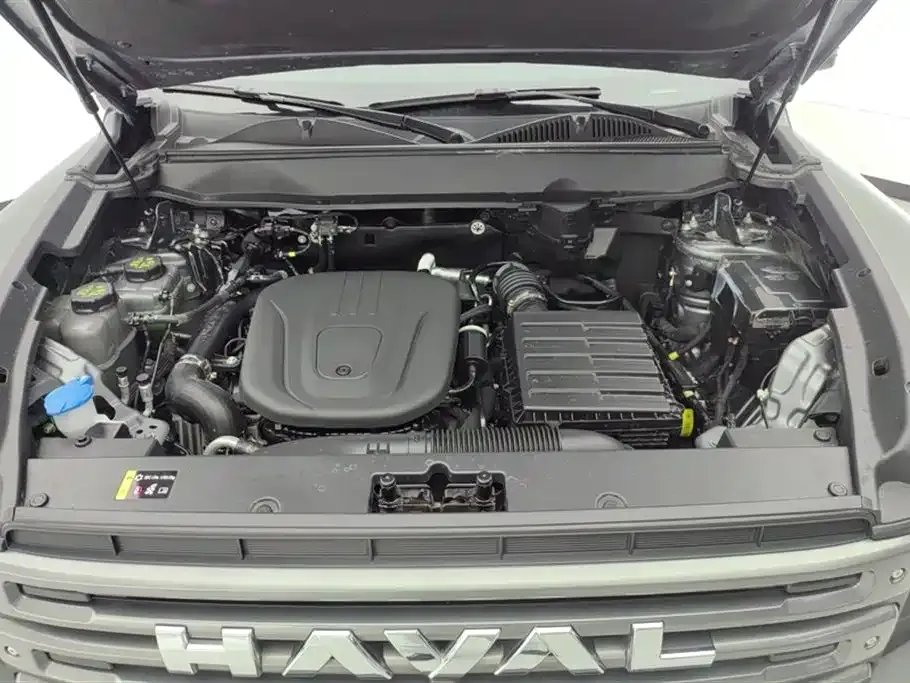 Haval Menglong New Energy 2025 из CN, фото 9