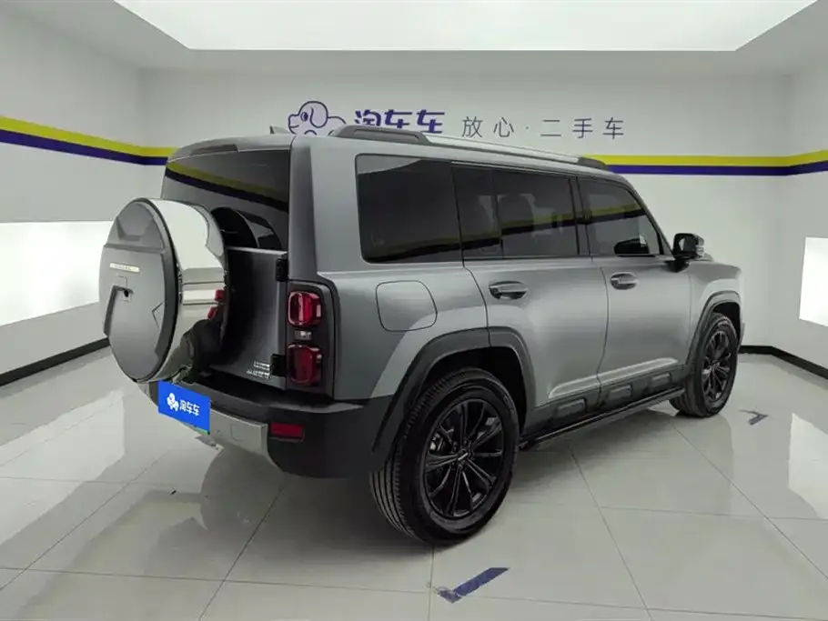 Haval Menglong New Energy 2025 из CN, фото 6