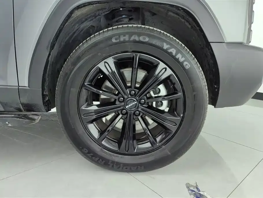 Haval Menglong New Energy 2025 из CN, фото 10