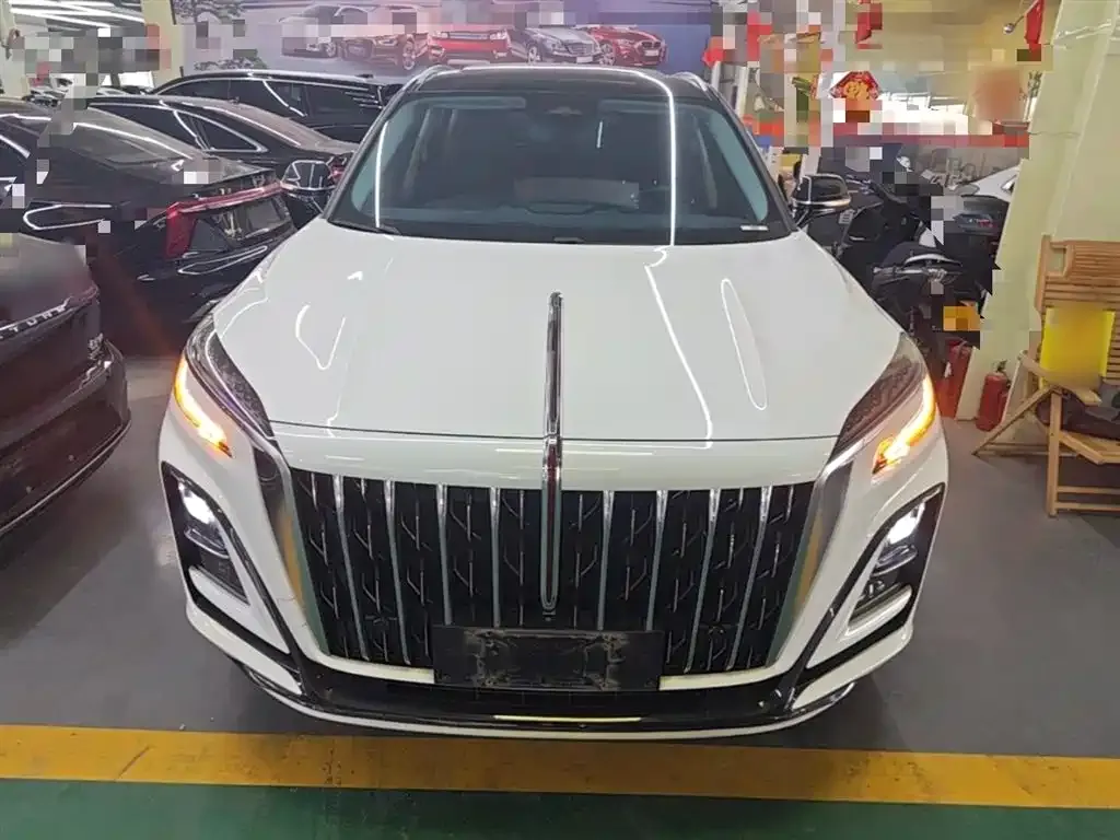 Hongqi HS3 2024 из CN, фото 6