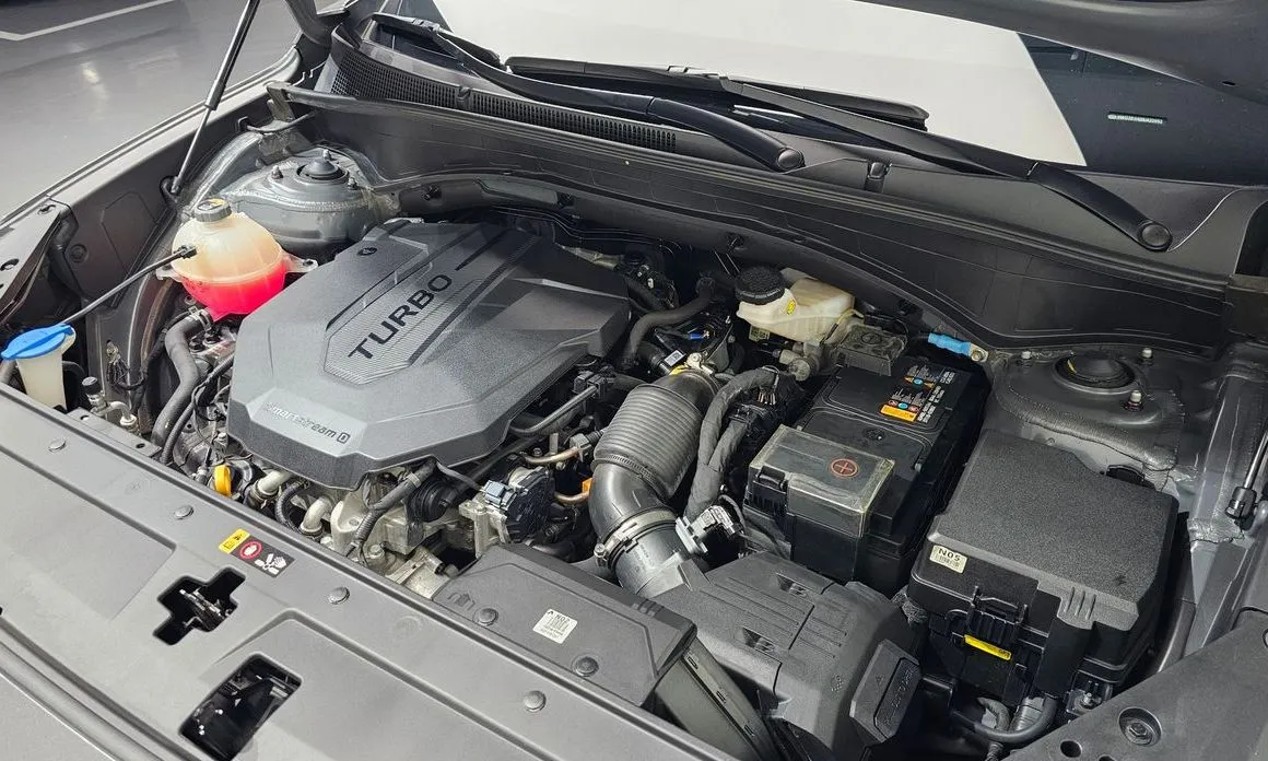 Hyundai Santafe 2022 из KR, фото 6