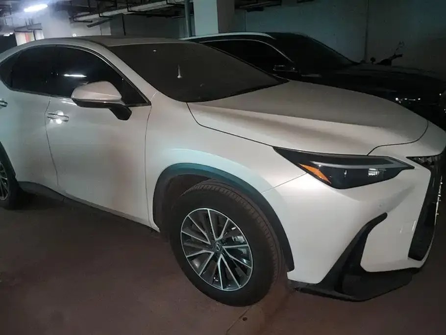 Lexus NX New Energy