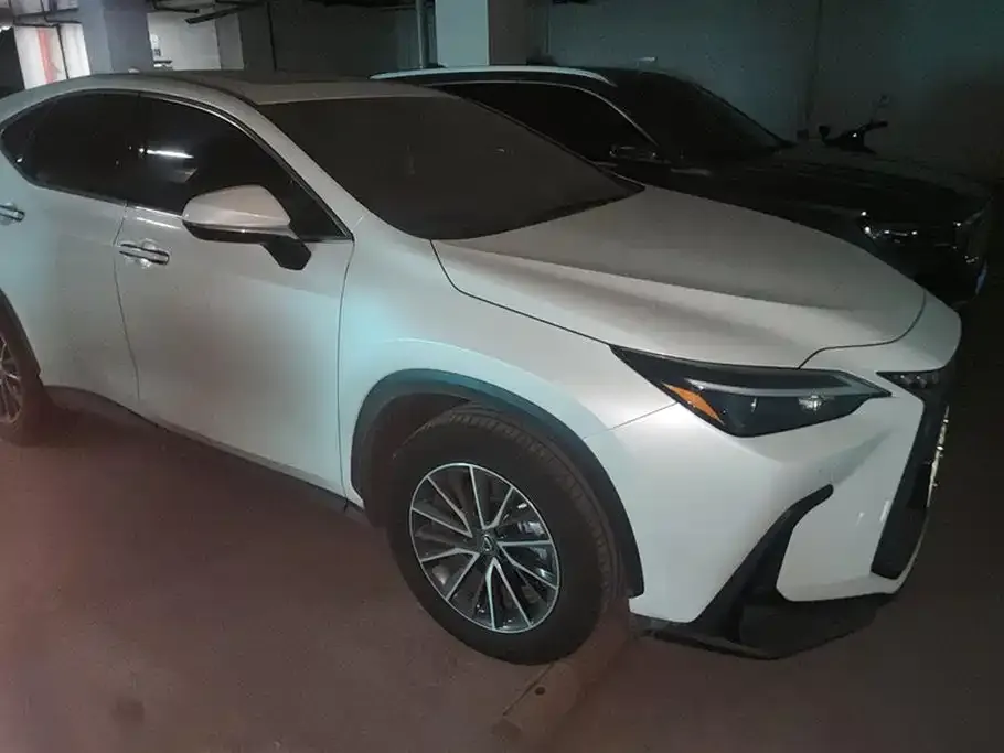 Lexus NX New Energy 2023 из CN, фото 2