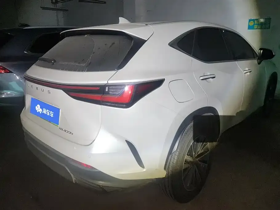 Lexus NX New Energy 2023 из CN, фото 5