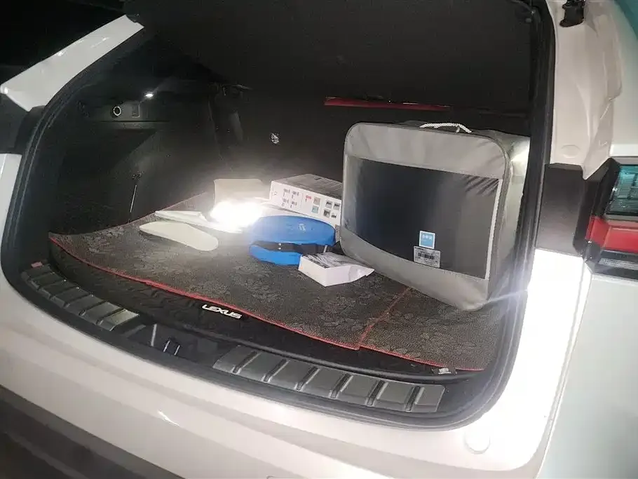 Lexus NX New Energy 2023 из CN, фото 4