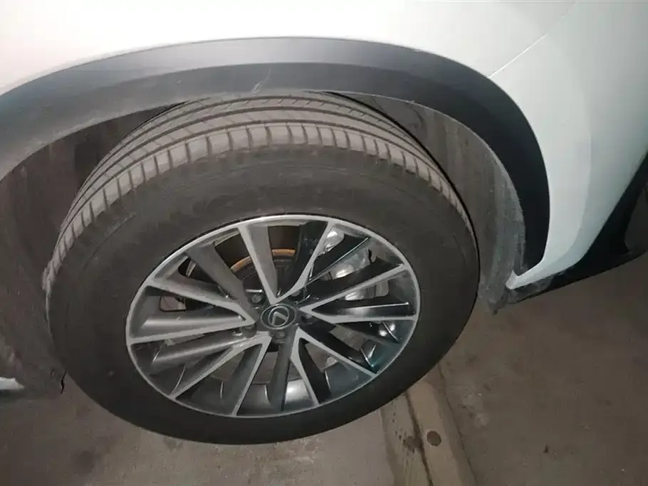 Lexus NX New Energy 2023 из CN, фото 9