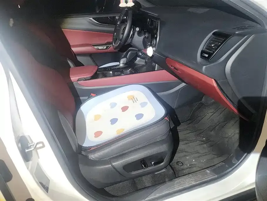 Lexus NX New Energy 2023 из CN, фото 10