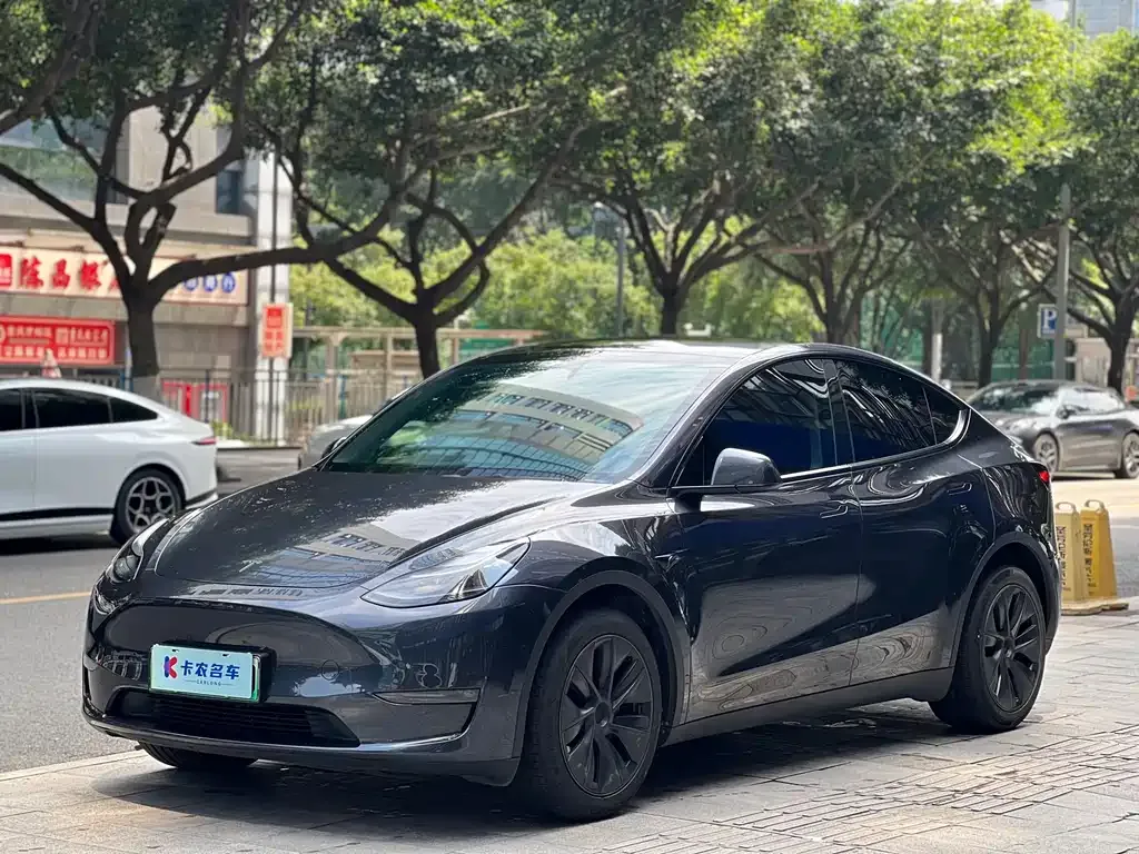 Tesla Model Y — фото 1