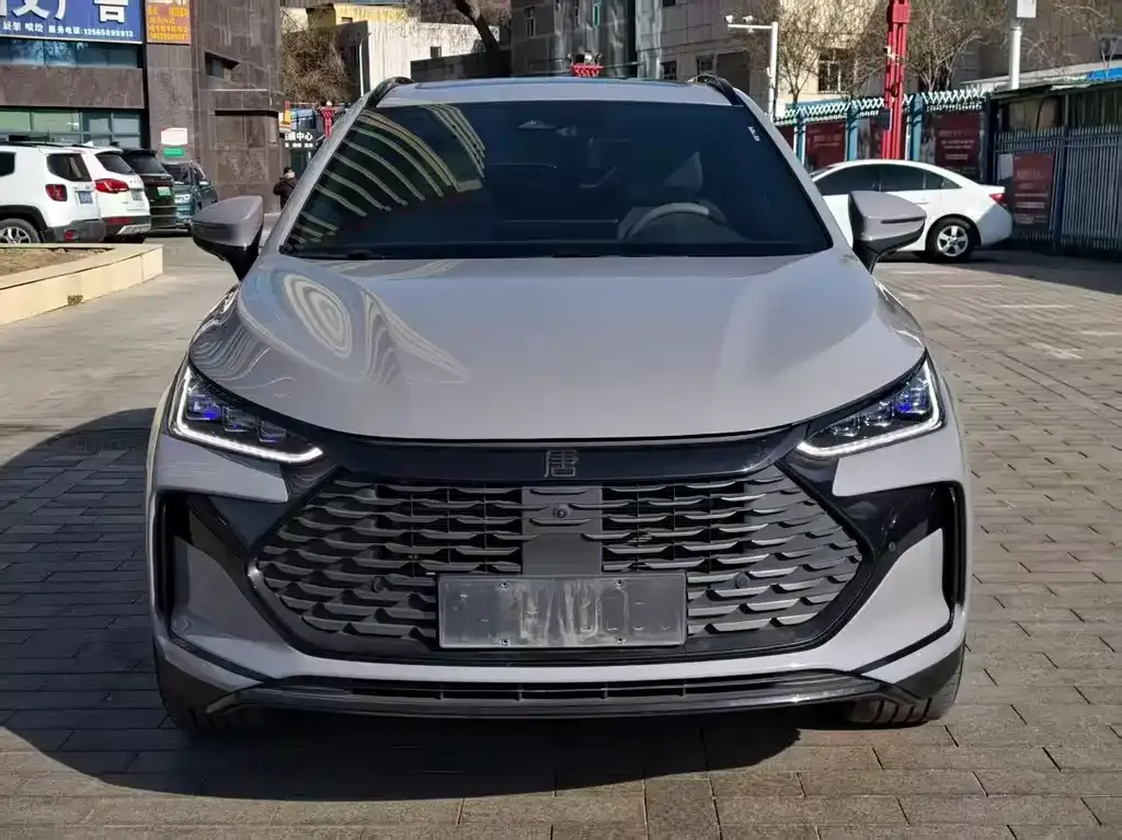 BYD Tang New Energy — фото 10