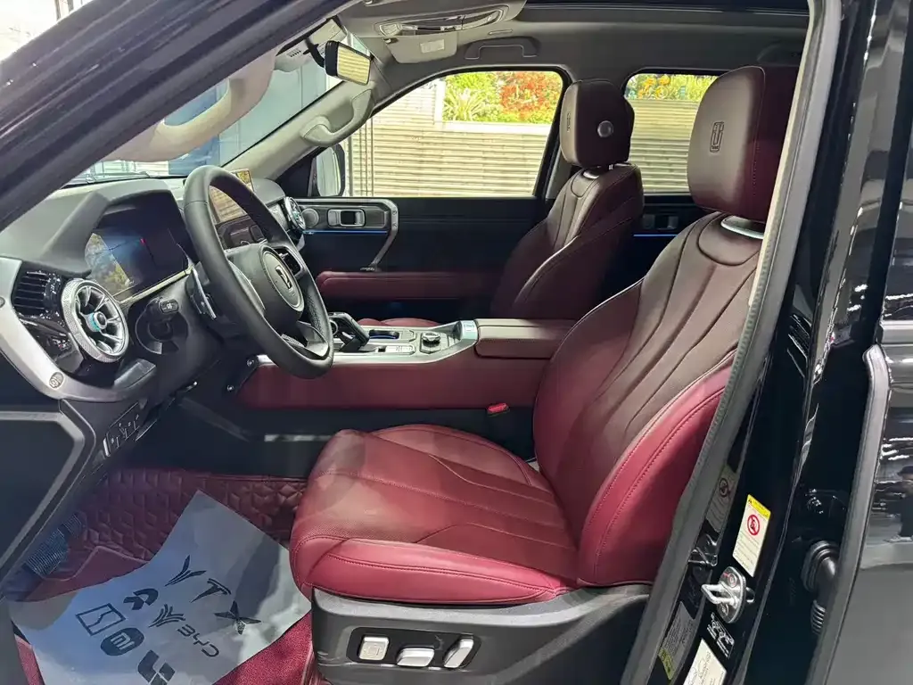 Tank 400 New Energy 2024 из CN, фото 7