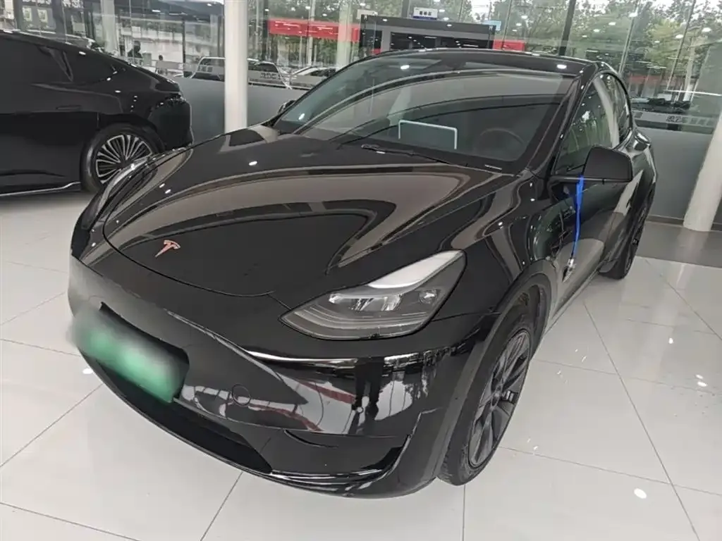 Tesla Model Y — фото 10