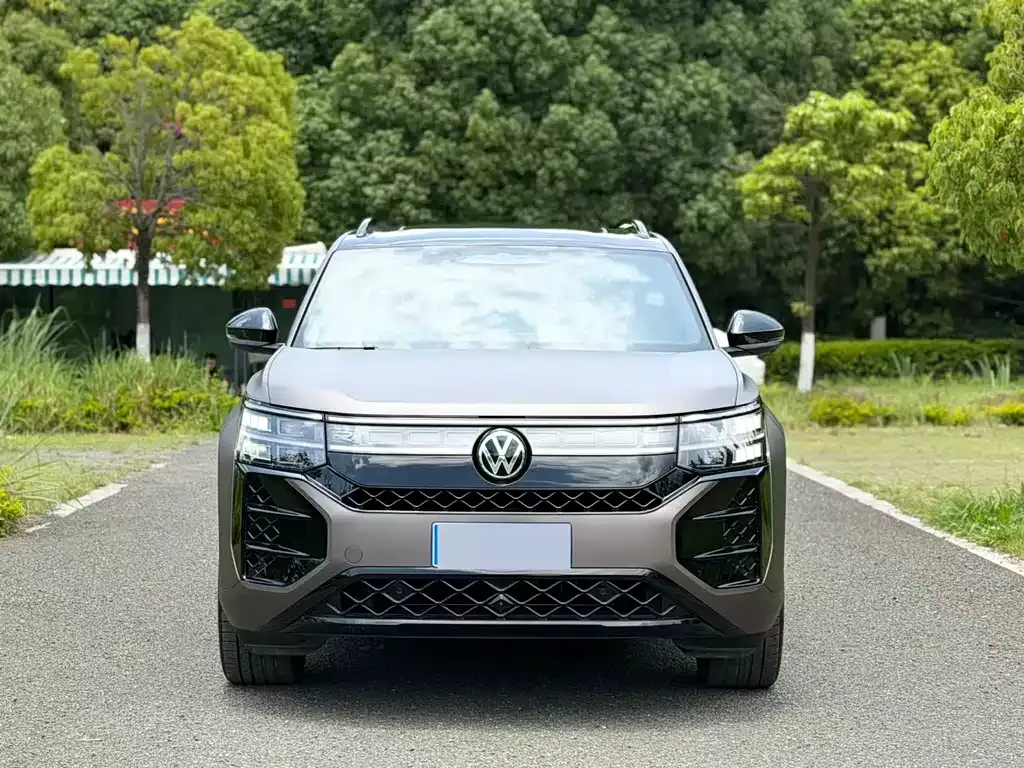 Volkswagen Teramont X — фото 10