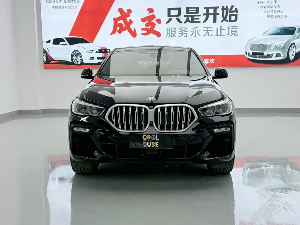 BMW X6