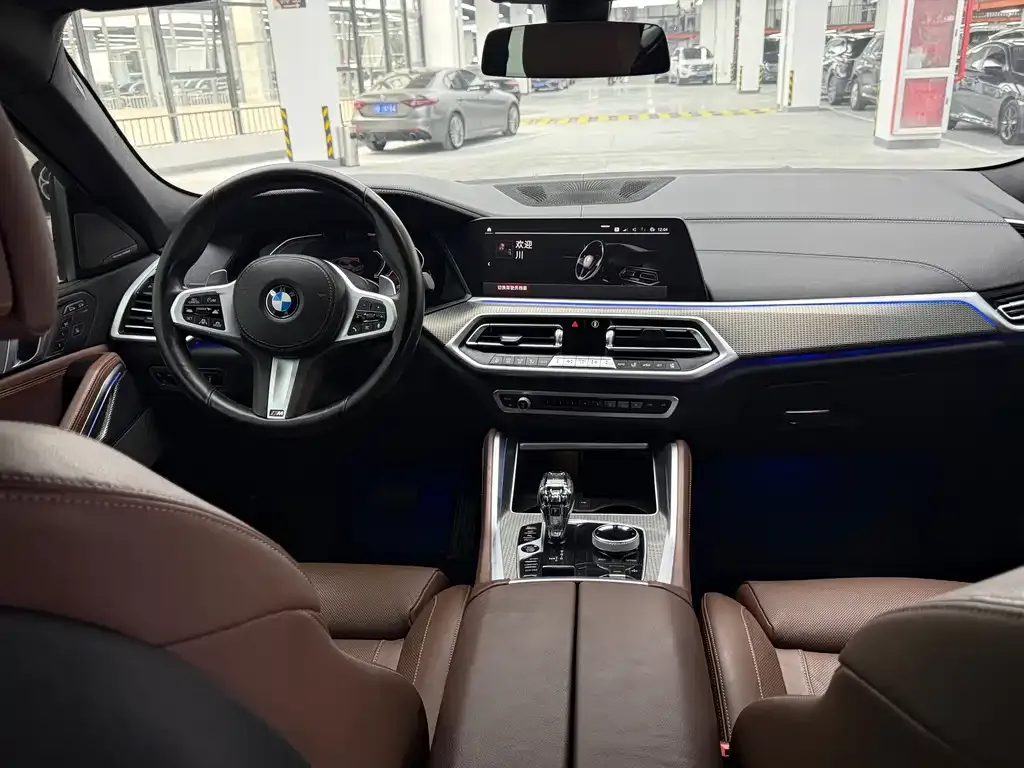 BMW X6 2021 из CN, фото 6