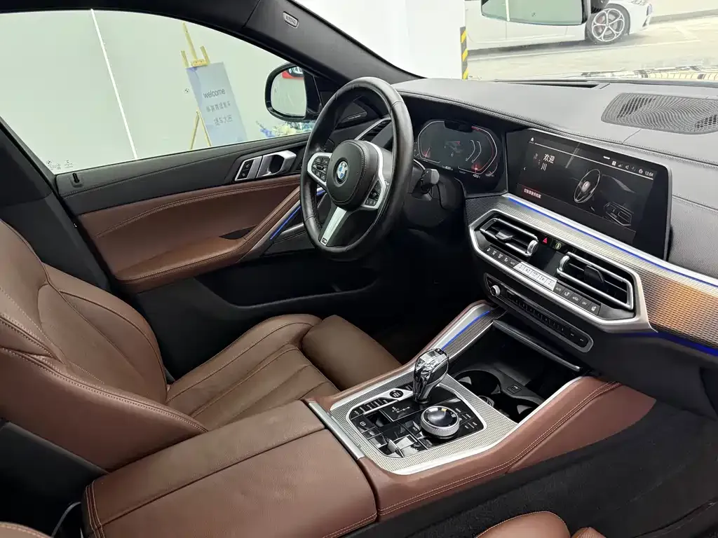 BMW X6 2021 из CN, фото 9