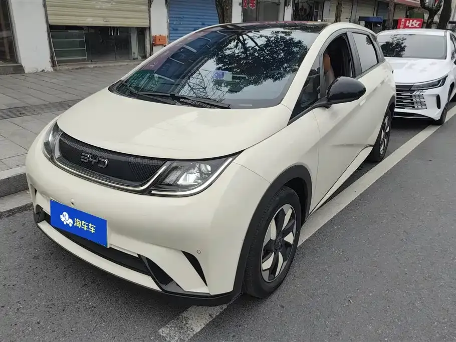BYD Dolphin
