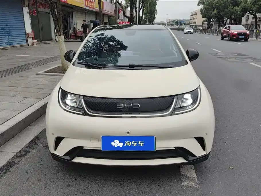 BYD Dolphin 2024 из CN, фото 10