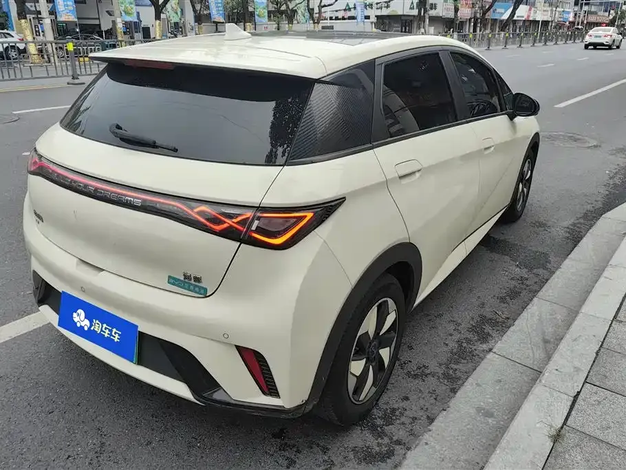 BYD Dolphin 2024 из CN, фото 3