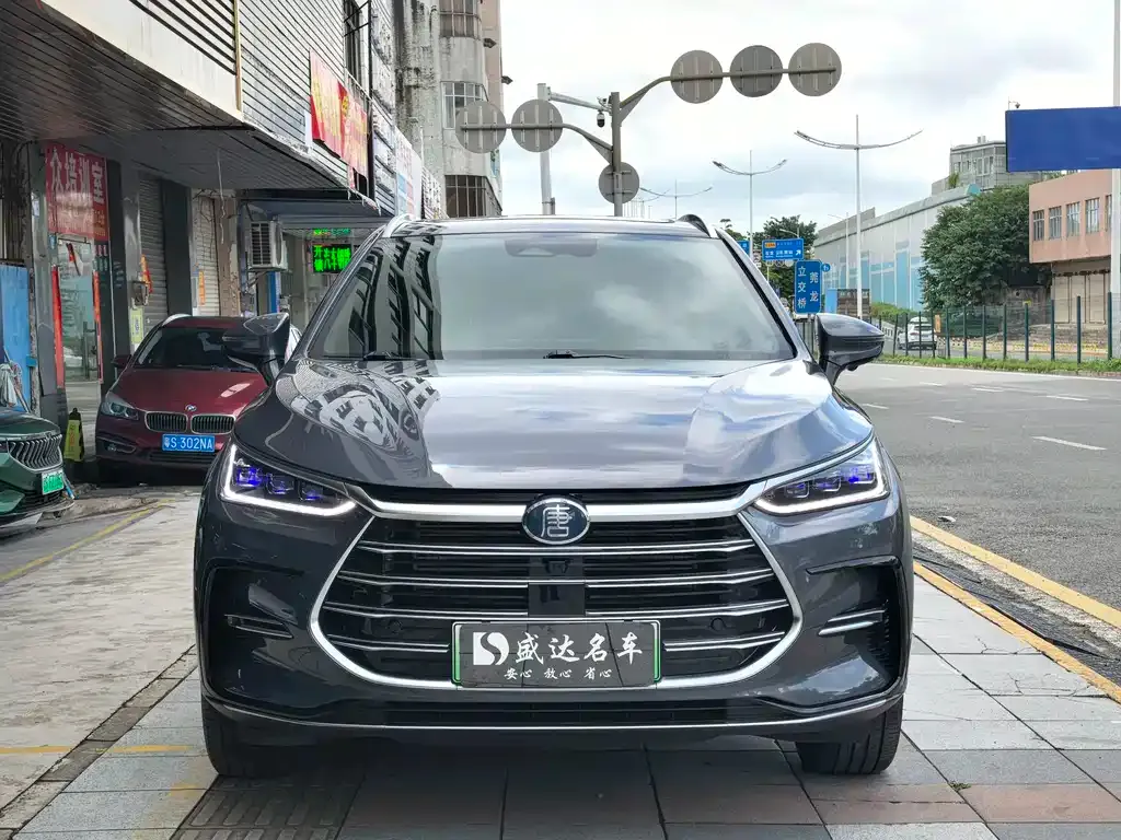 BYD Tang New Energy 2023 из CN, фото 4