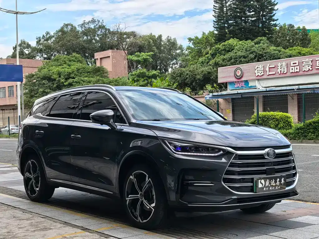 BYD Tang New Energy 2023 из CN, фото 3