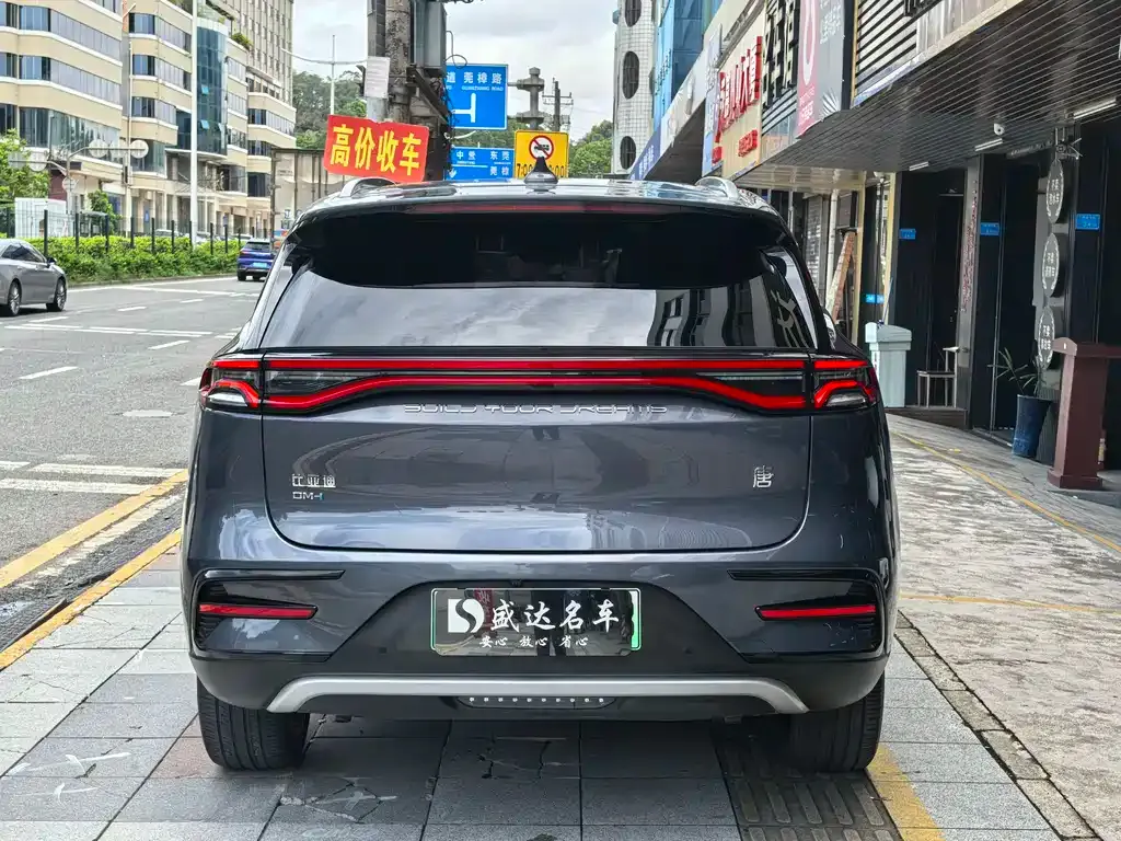 BYD Tang New Energy 2023 из CN, фото 6