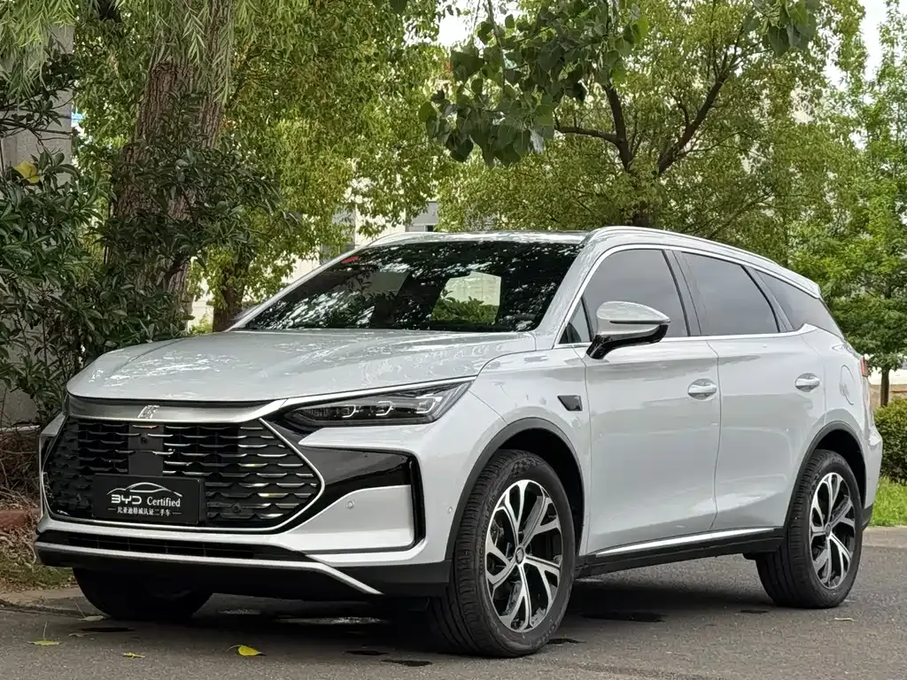 BYD Tang New Energy — фото 1