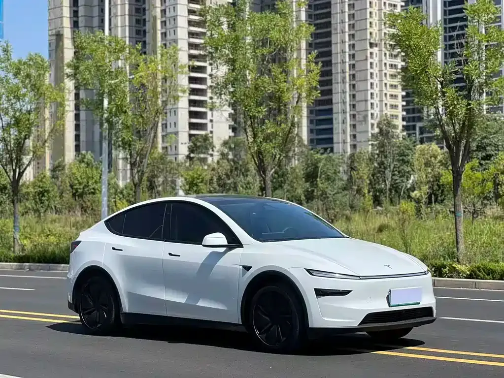 Tesla Model Y — фото 10