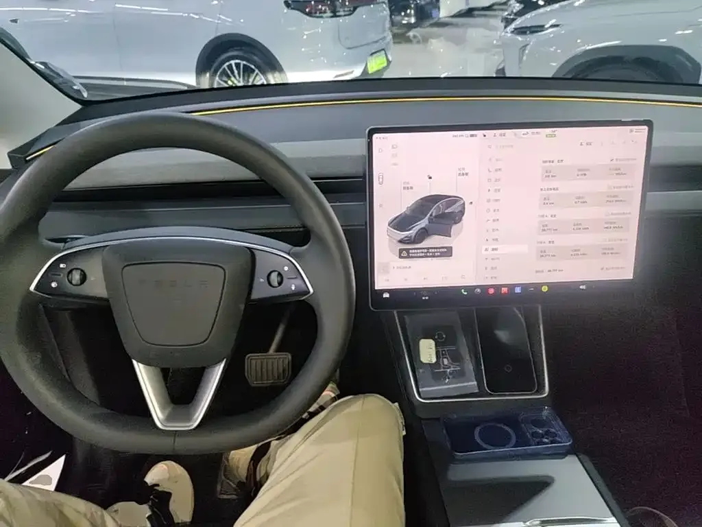 Tesla Model Y — фото 10