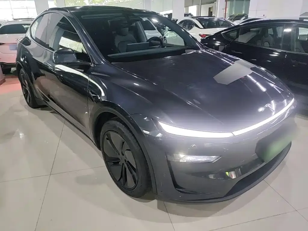 Tesla Model Y — фото 3