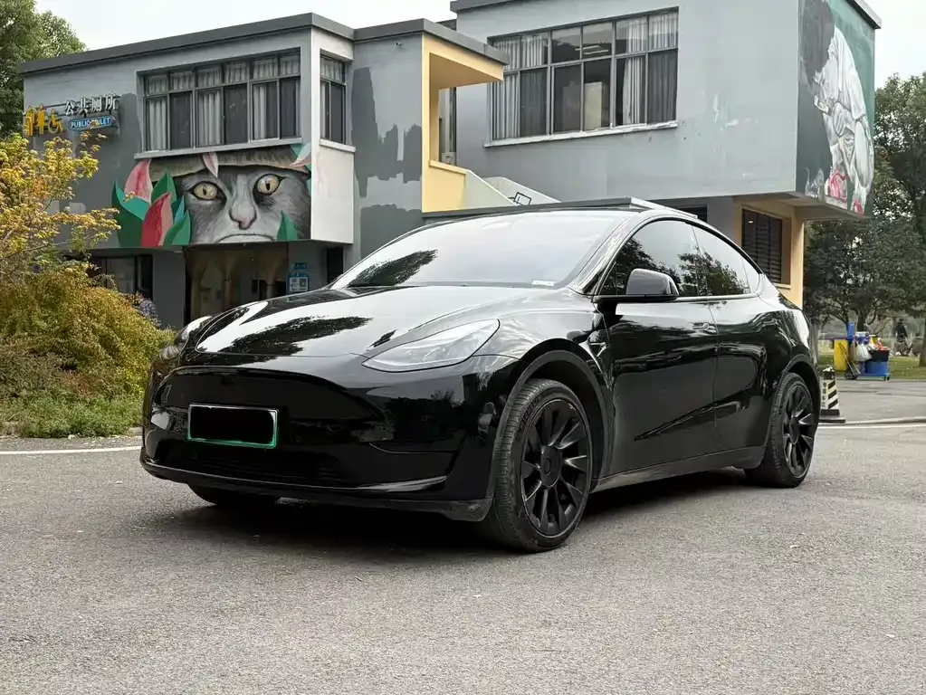 Tesla Model Y — фото 1