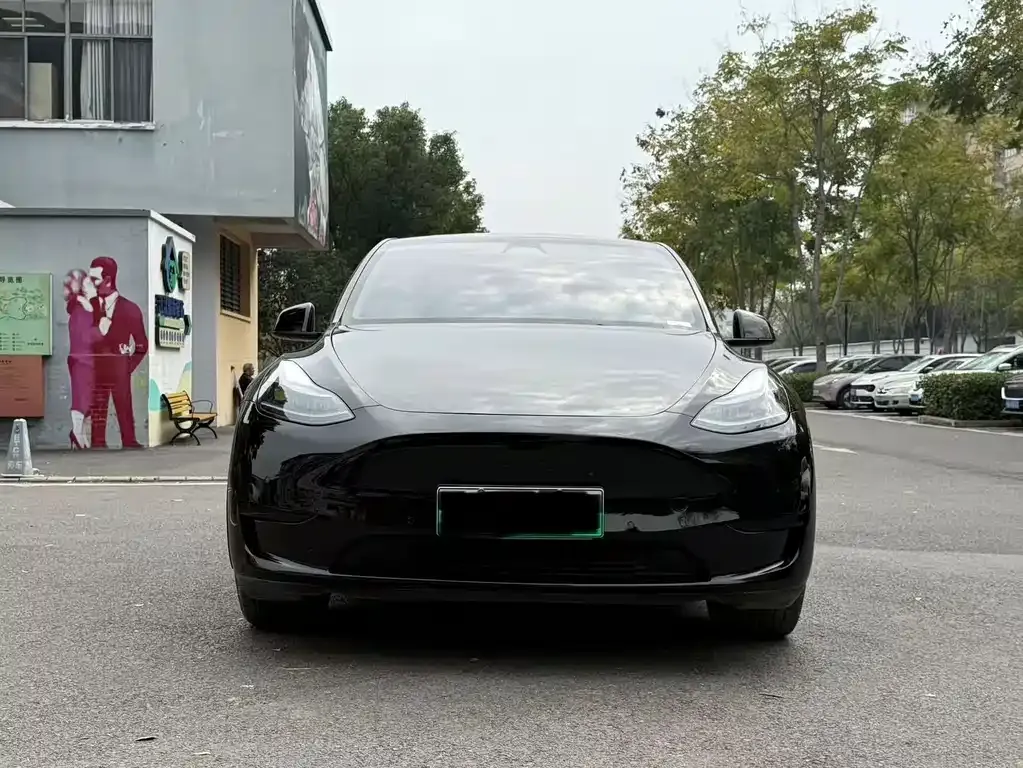 Tesla Model Y — фото 6