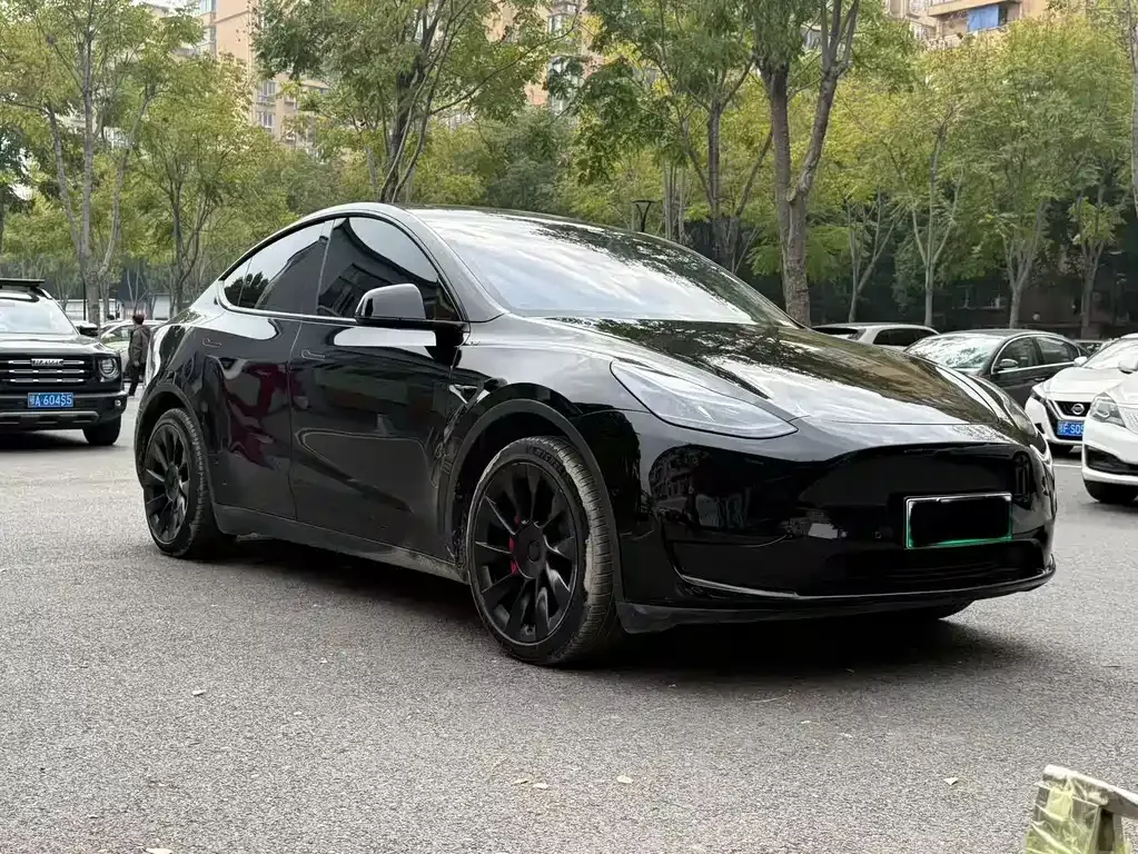 Tesla Model Y — фото 9