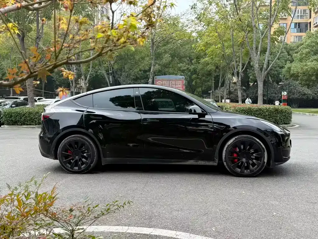Tesla Model Y — фото 7