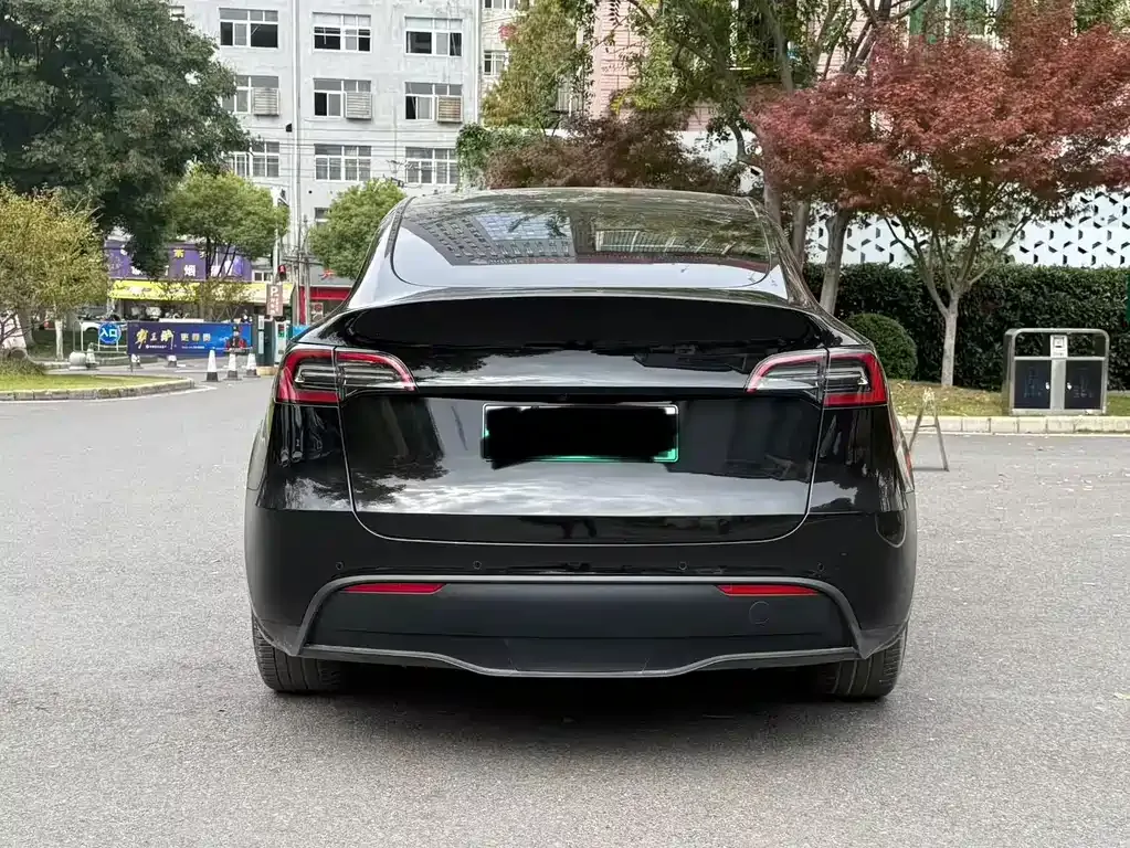 Tesla Model Y — фото 2