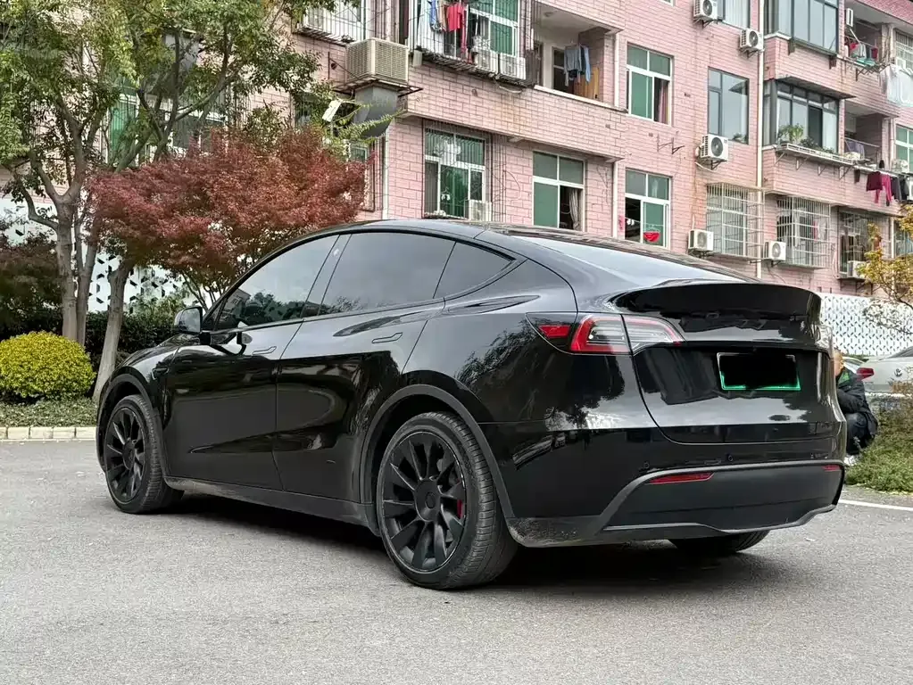 Tesla Model Y — фото 10
