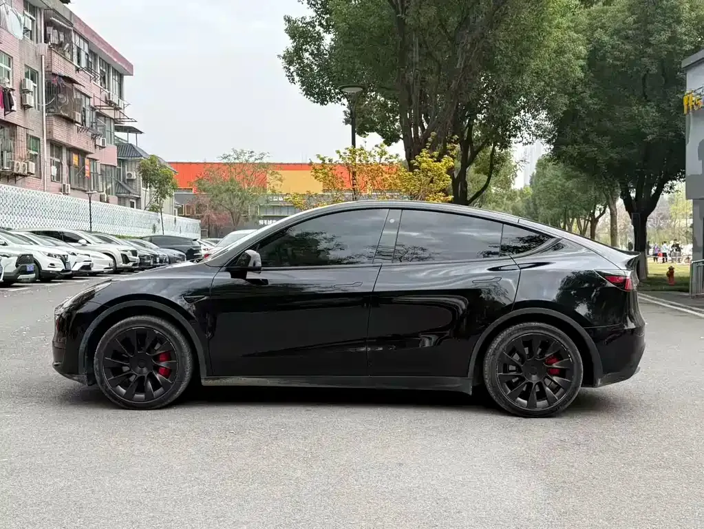 Tesla Model Y — фото 3